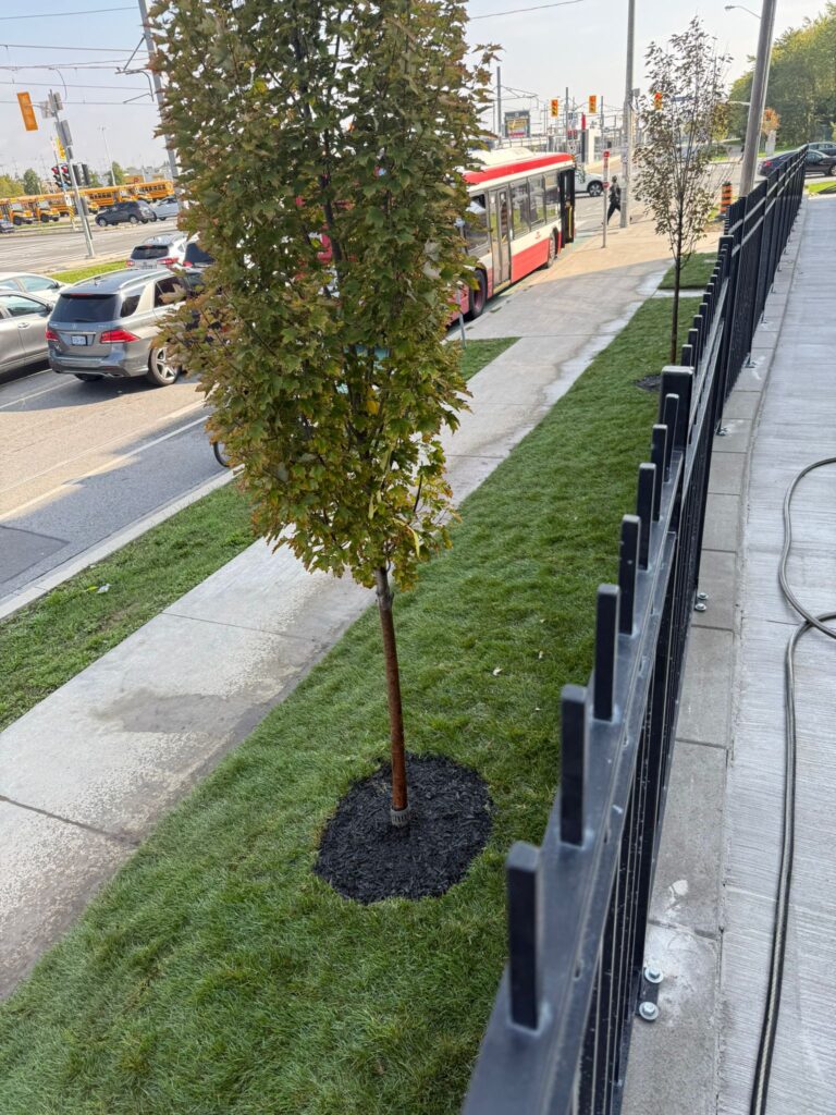 WhatsApp Image 2026-02-04 at 9.13.05 PM (5)