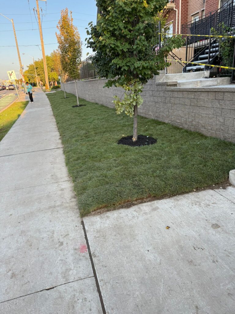 WhatsApp Image 2026-02-04 at 9.13.05 PM (6)