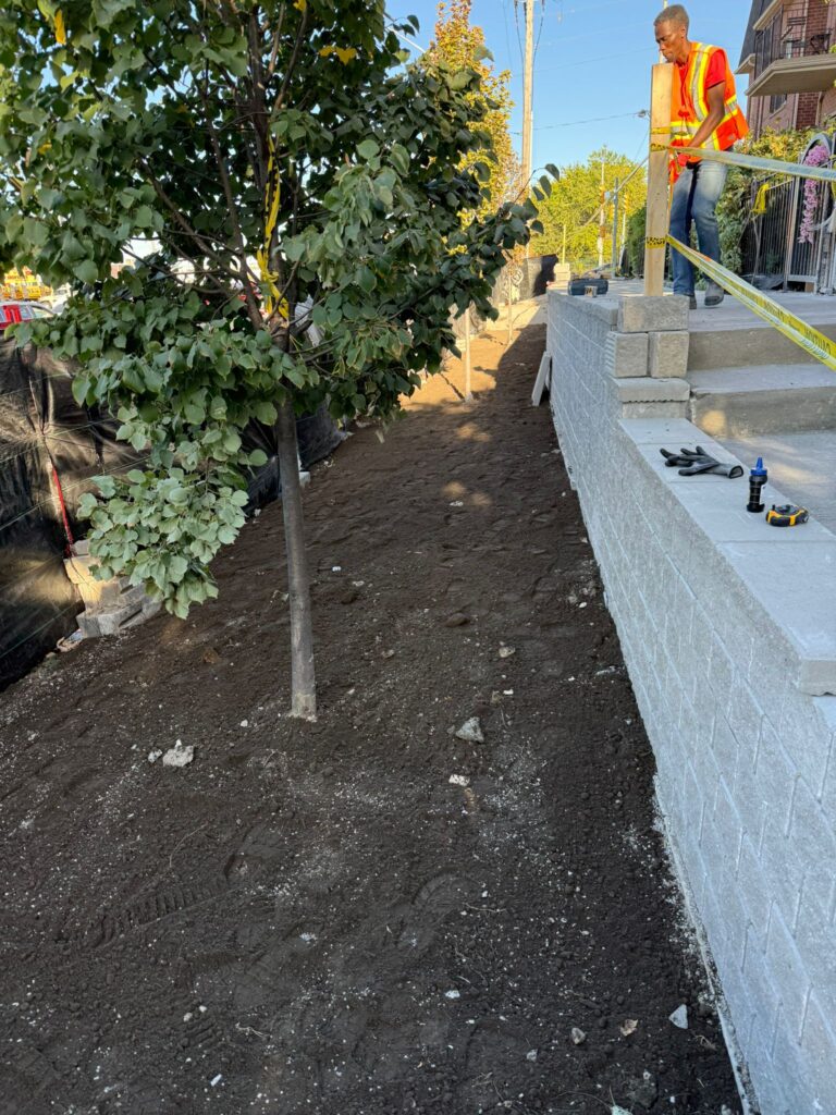 WhatsApp Image 2026-02-04 at 9.13.05 PM